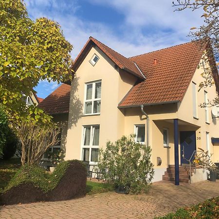 Ferienwohnung Suedpfalz Mit Fernblick Bochingen Kültér fotó
