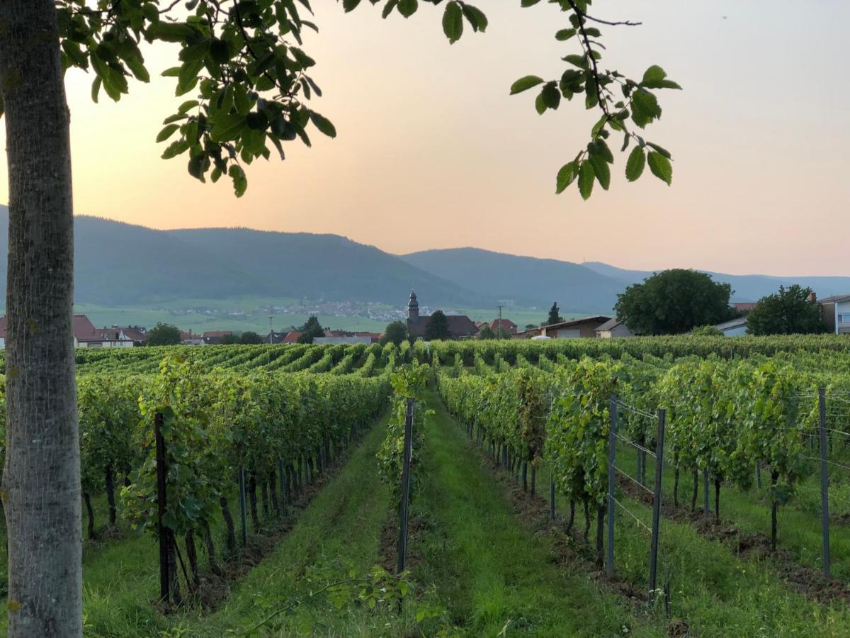 Ferienwohnung Suedpfalz Mit Fernblick Bochingen Kültér fotó