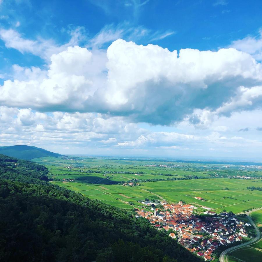 Ferienwohnung Suedpfalz Mit Fernblick Bochingen Kültér fotó